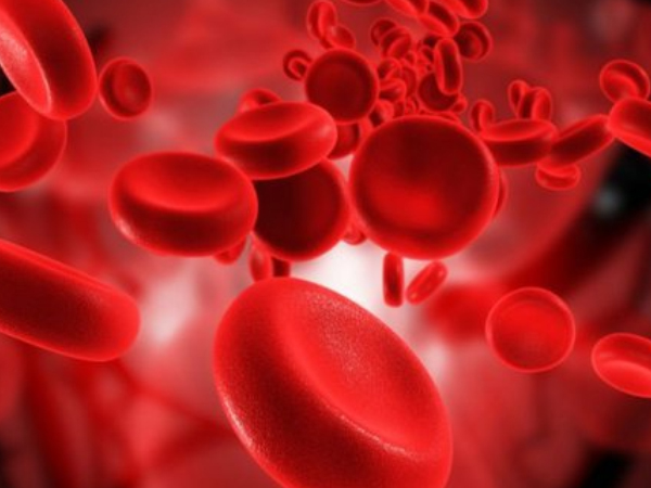 Bênh Thalassemia ?